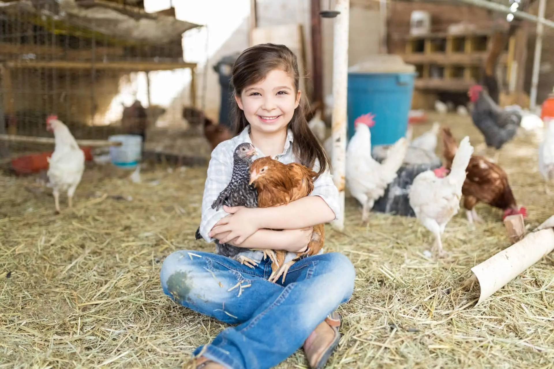 enfant-ferme-poulet-iStock-1076815754 -min