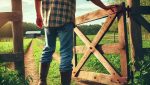 Image générique pour représenter les servitudes réelles_fermier qui ouvre portail en bois sur terre agricole