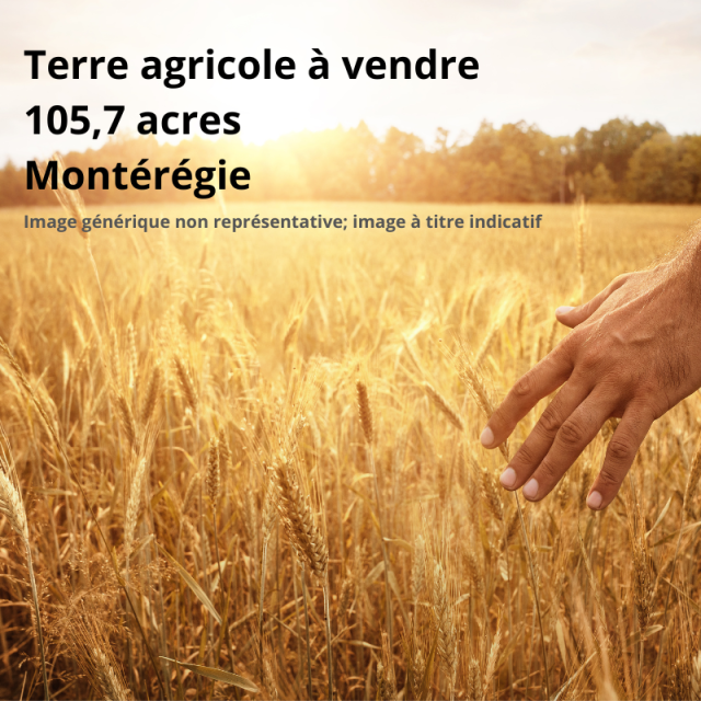 Terre agricole à vendre en Montérégie