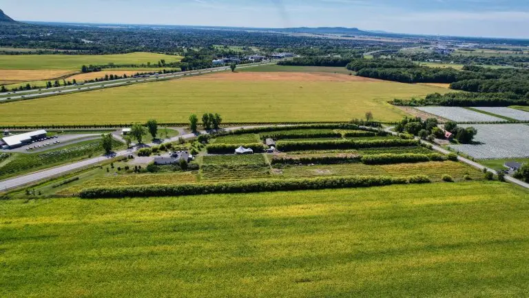 Vignoble Mont-St-Hilaire