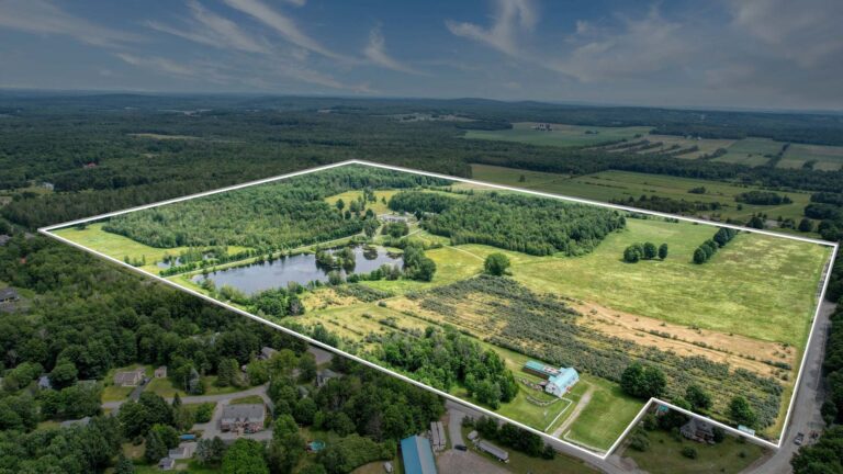 Vue d'ensemble superficie délimitée